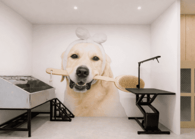 Diseño premium tienda