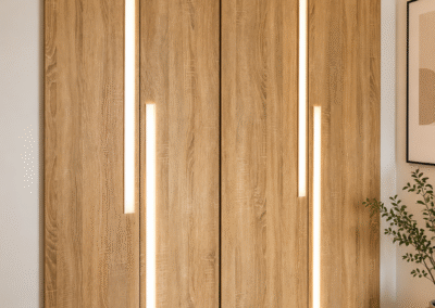 Remodelar closet